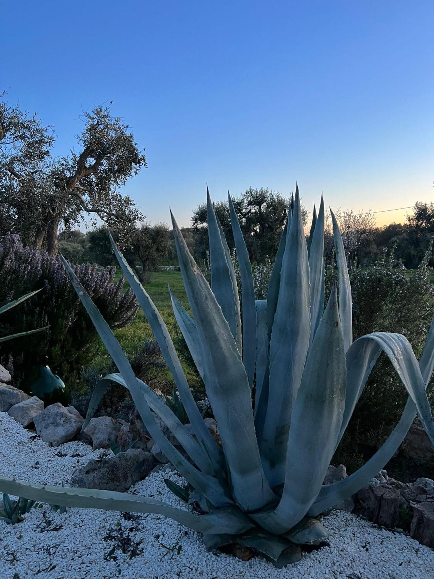 Villa Trullo Oriale Ostuni Exterior foto